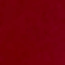 Eye Care - Nail Polish - 5 ml-15