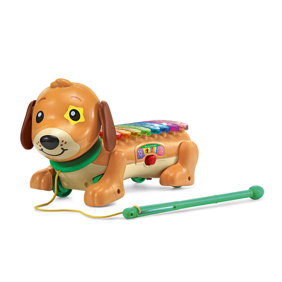 Vtech Elton My Xylophone Sway